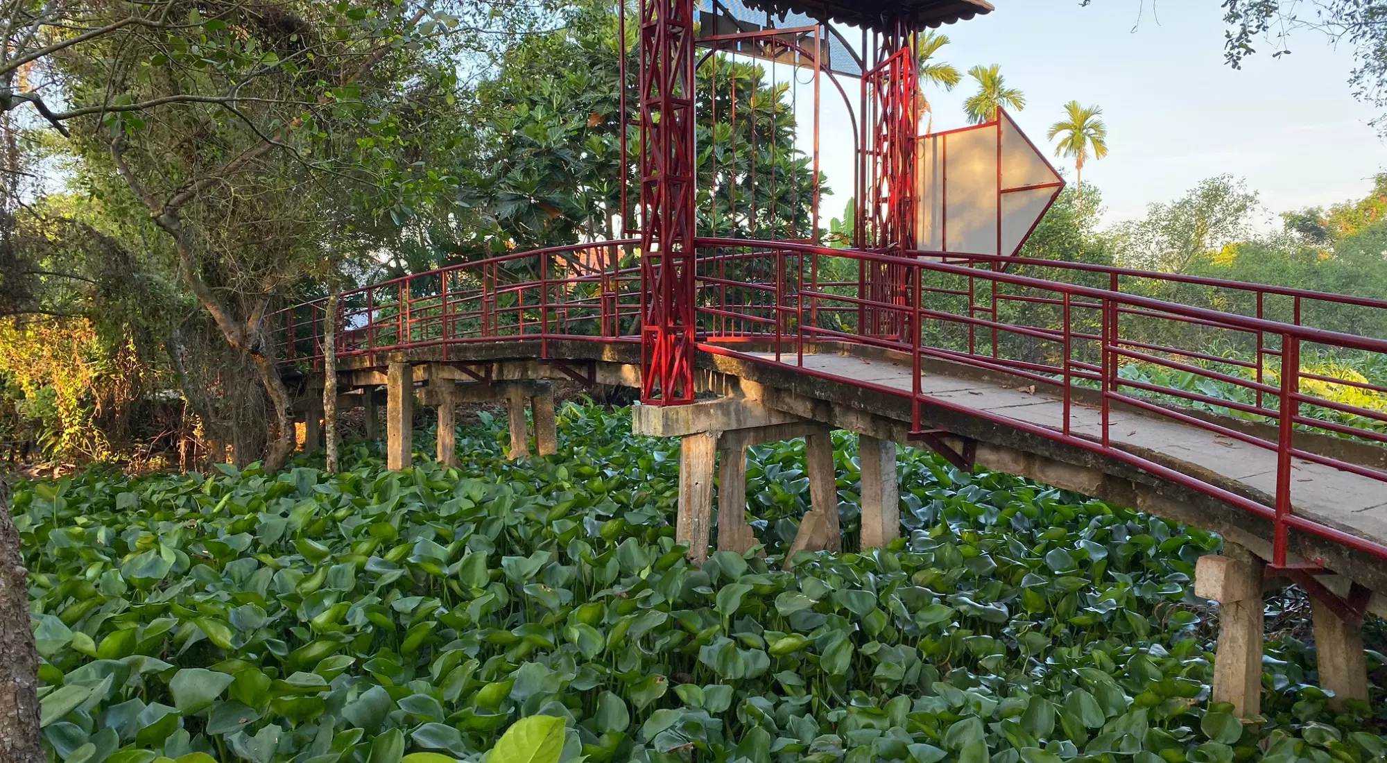 Day 13: Travelling from Hồ Chí Minh City to the Mê Kông Delta