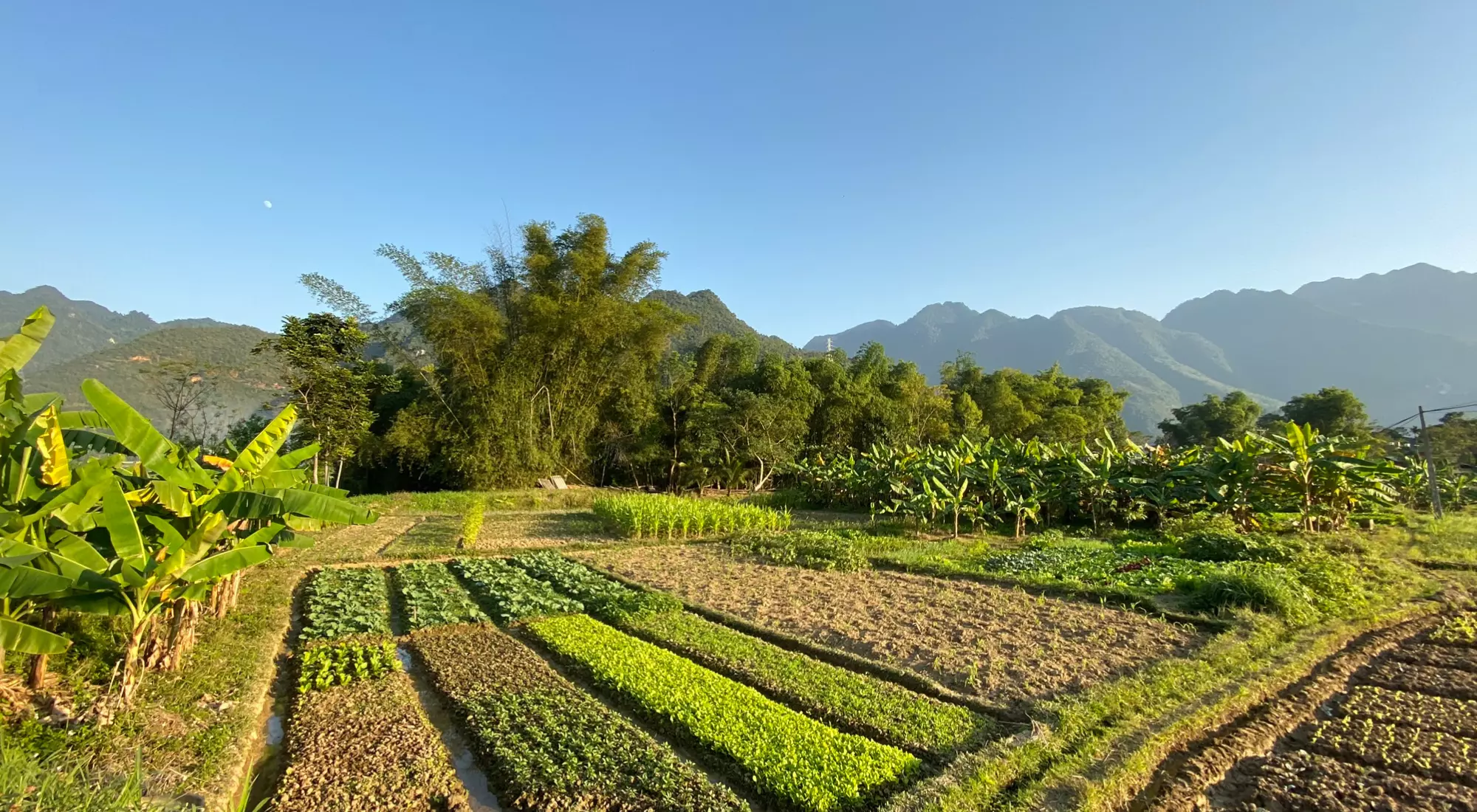 Day 4: Travel from Mai Châu back to Hà Nội