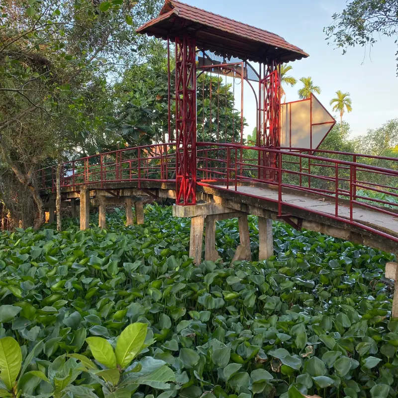 Day 13: Travelling from Hồ Chí Minh City to the Mê Kông Delta